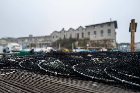 In a small fishing harbour