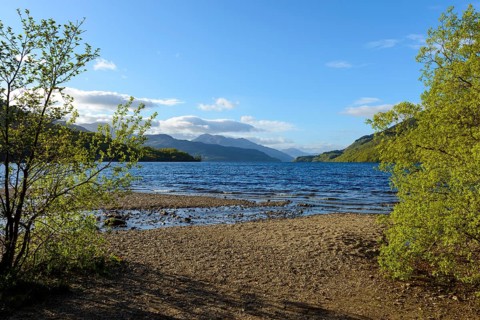 Lake shore in the spring