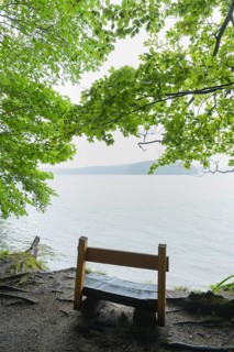 Bench on lake in the morning