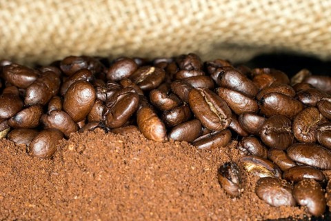 Coffee beans of the Arabica variety lie on top of ground coffee in a jute bag