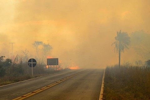 Bushfire on the main road 251 through the national park