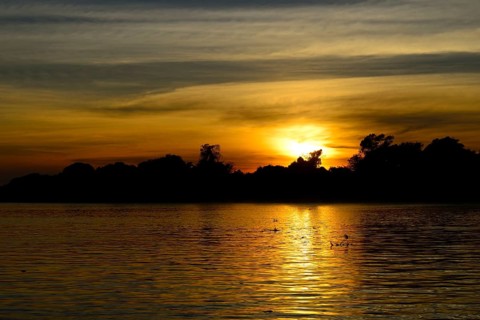 Landscape at Rio Sao Lourenco at sunrise