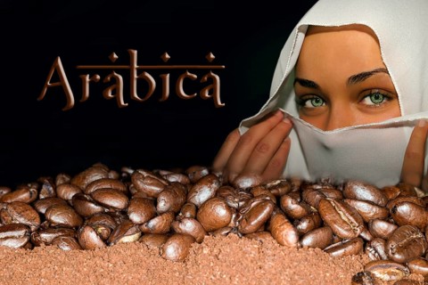 Coffee beans of the Arabica variety lying on ground coffee