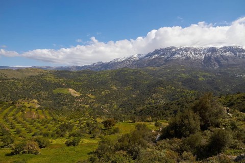 Spring in Crete