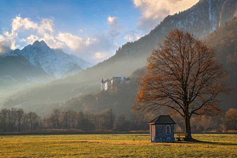 Small chapel under a tree