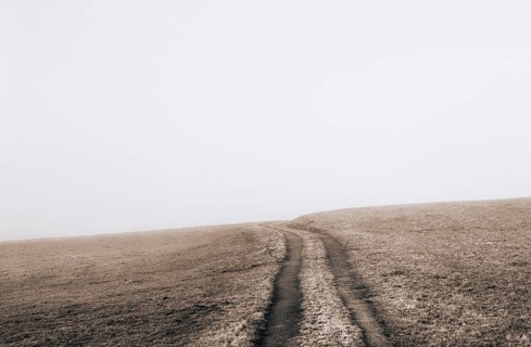 Field path leads a mown meadow