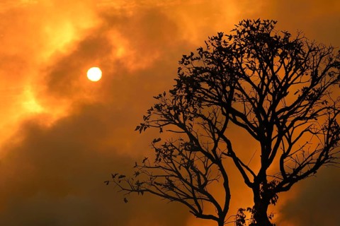 Clouds of smoke from a bushfire at sunset