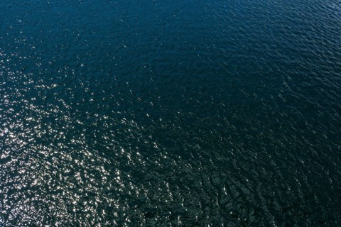 Sea water curls