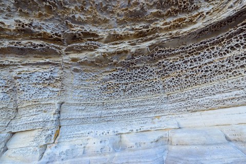 Rock on coast with honeycomb weathering