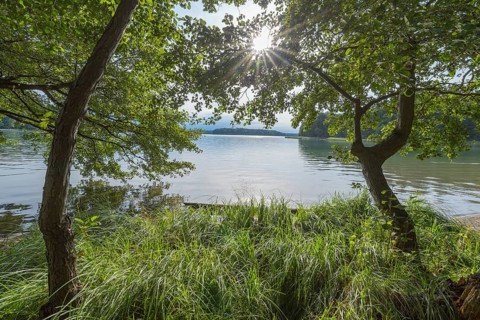Lakeside in summer