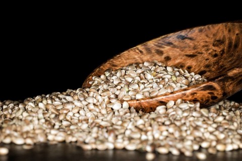 Hemp