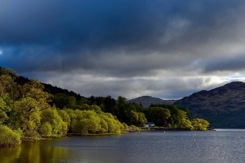 Lake shore in the spring