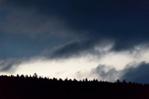 Cloud hole over forest at dawn
