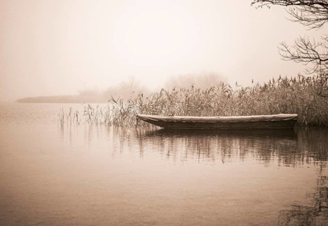 Fishing boat in the morning mist at the reed belt of the Irrsee