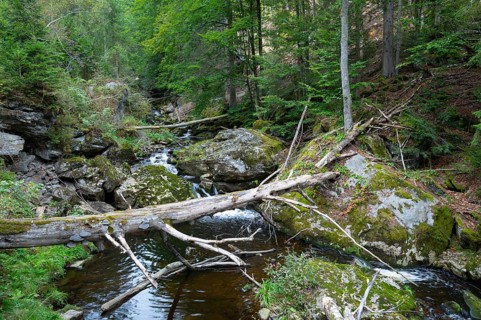 Stone Gorge