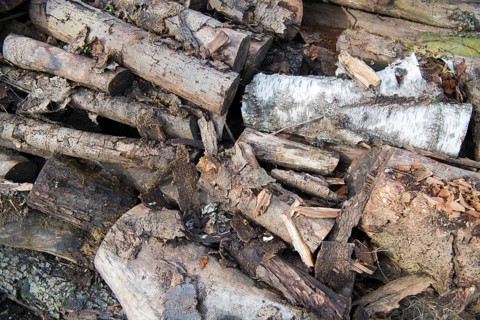 Deadwood piles as natural insect nesting aid