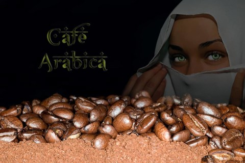 Coffee beans of the Arabica variety lying on ground coffee