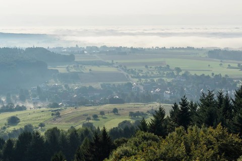View from Katzenbuckel mountain with morning mist