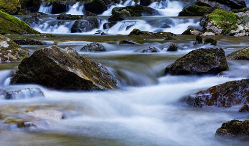 Mountain stream flows over moss-covered stones