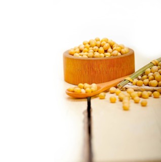 Organic soya beans over rustic wood table macro closeup
