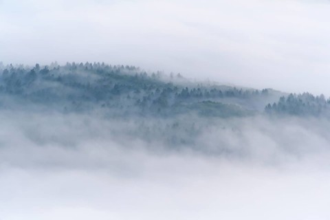 View from Katzenbuckel mountain with morning mist