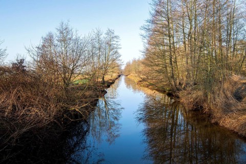 Mittelradde