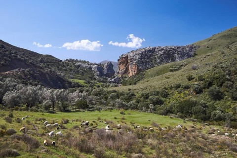 Spring in Crete