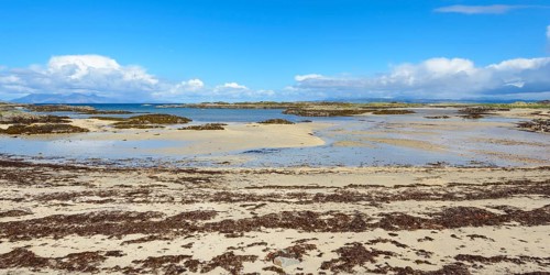 Scottish coast with beach in spring