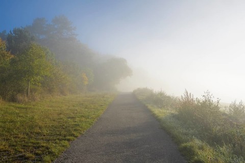 Path on the edge of the forest with fog in autumn