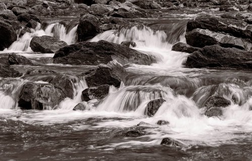 Mountain stream flows over moss-covered stones