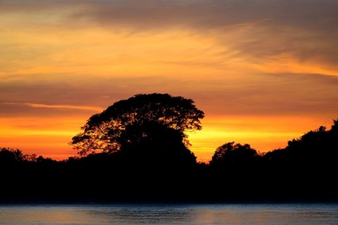 Landscape at Rio Sao Lourenco at sunrise