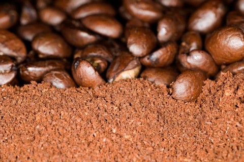 Coffee beans of the Arabica variety lie on ground coffee