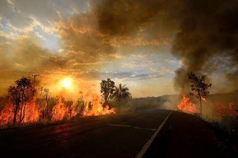 Bushfire on the main road 251 at sunset