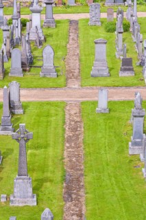 Grave plants on cemetery