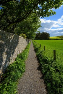 Path in countryside