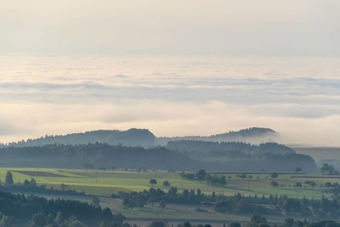 View from Katzenbuckel mountain with morning mist