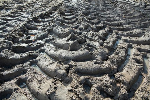 Soil compaction in the field