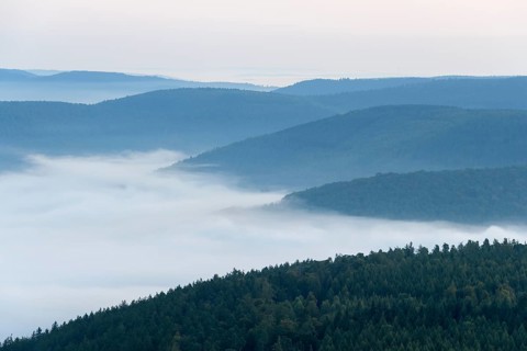 View from Katzenbuckel mountain with morning mist