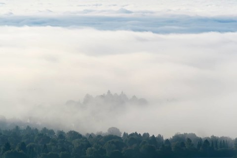 View from Katzenbuckel mountain with morning mist