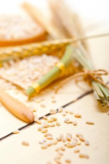 Organic wheat grains over rustic wood table macro closeup