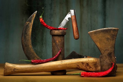 Food photography