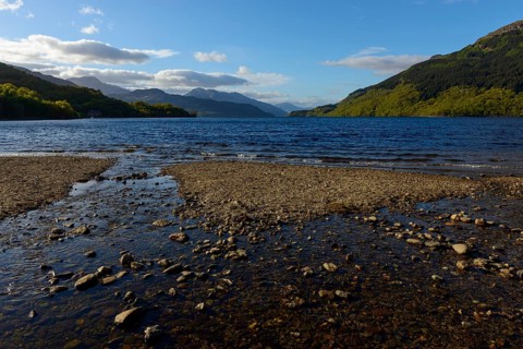 Lake shore in the spring