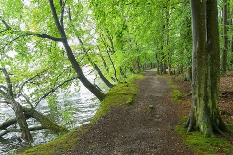 Away on the lake shore in the summer