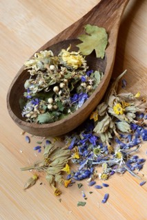 Tea mixture in wooden ladle and medicinal plants