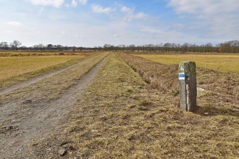 Hiking trail in spring on the former Karolinenhoehe sewage farm