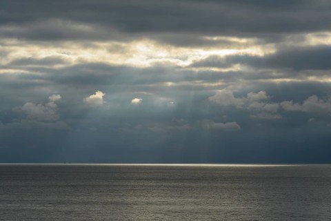 Sea in the morning