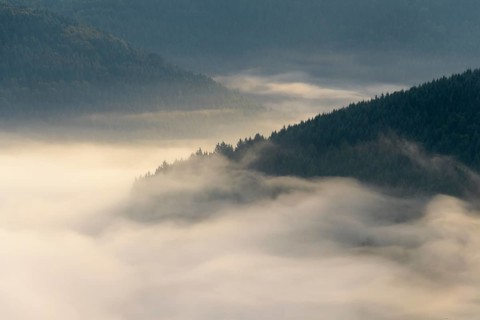 View from Katzenbuckel mountain with morning mist
