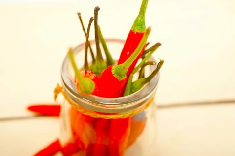 Red chili peppers on a glass jar over white wood rustic table