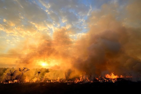 Burning vegetaition in a bushfire at sunset