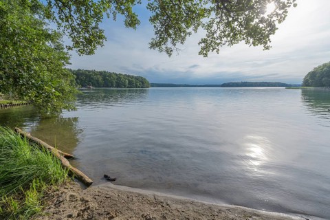 Lakeside in summer